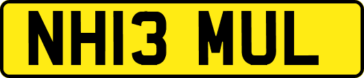NH13MUL