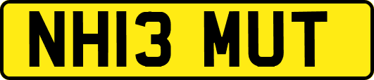 NH13MUT