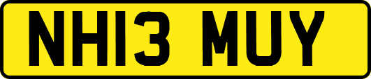 NH13MUY