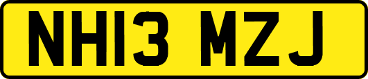 NH13MZJ