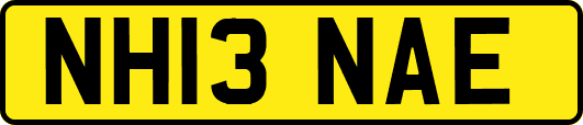 NH13NAE