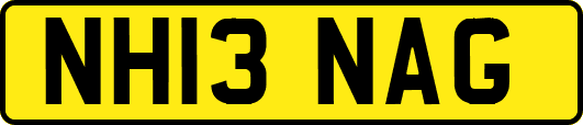 NH13NAG