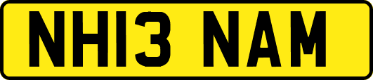 NH13NAM
