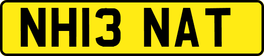 NH13NAT