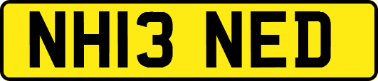 NH13NED