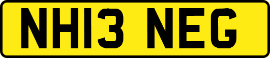 NH13NEG