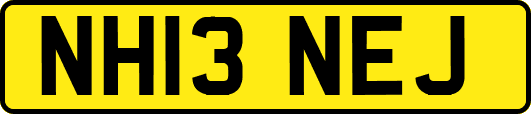 NH13NEJ