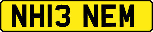 NH13NEM