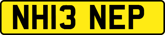 NH13NEP