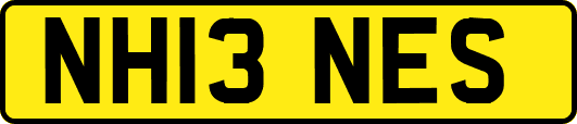 NH13NES