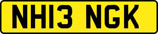 NH13NGK