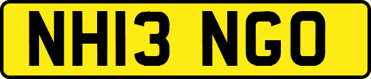 NH13NGO