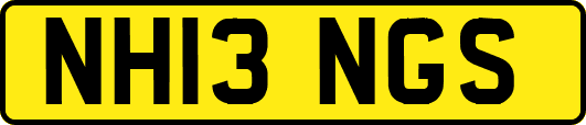 NH13NGS