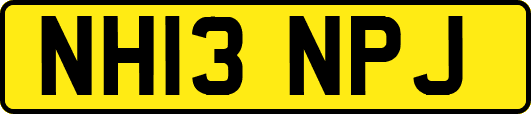 NH13NPJ