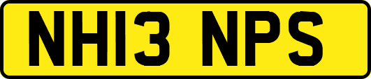 NH13NPS