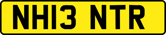 NH13NTR