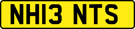 NH13NTS