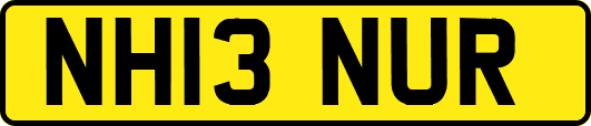 NH13NUR