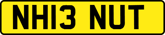 NH13NUT