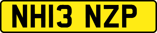 NH13NZP