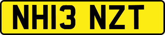 NH13NZT