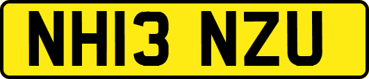 NH13NZU