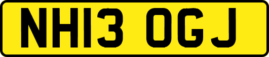 NH13OGJ