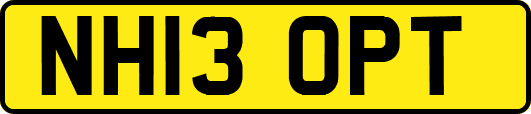 NH13OPT
