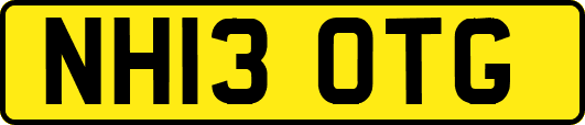 NH13OTG