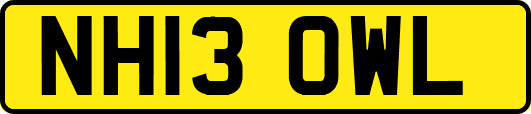 NH13OWL