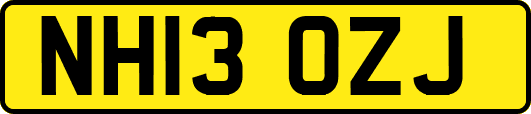 NH13OZJ