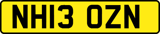 NH13OZN
