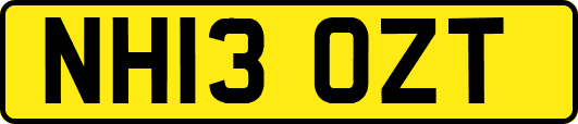 NH13OZT