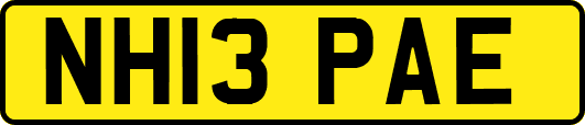 NH13PAE