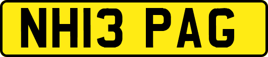 NH13PAG