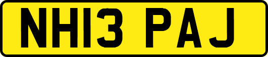 NH13PAJ