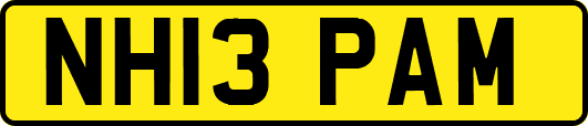 NH13PAM