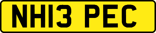 NH13PEC