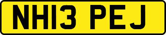 NH13PEJ