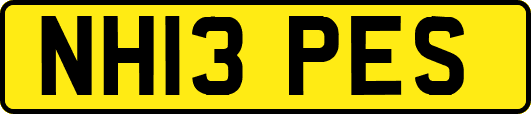NH13PES