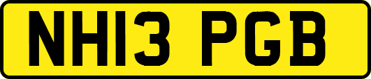 NH13PGB