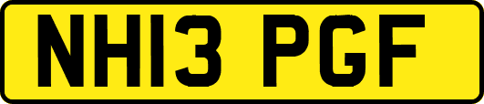 NH13PGF