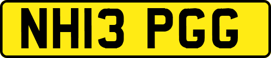 NH13PGG