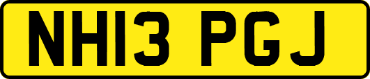 NH13PGJ