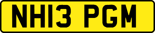 NH13PGM