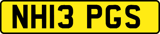 NH13PGS