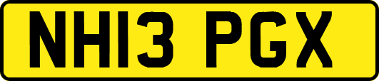 NH13PGX