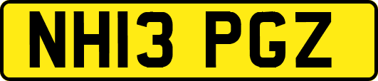 NH13PGZ