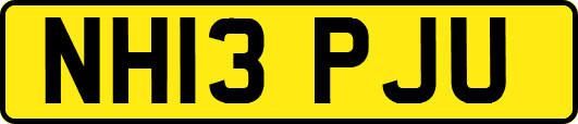 NH13PJU
