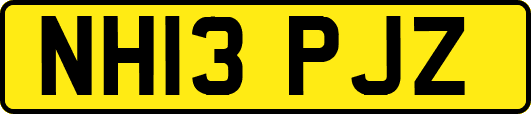 NH13PJZ
